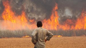 Além do calor: novos riscos climáticos para trabalhadores